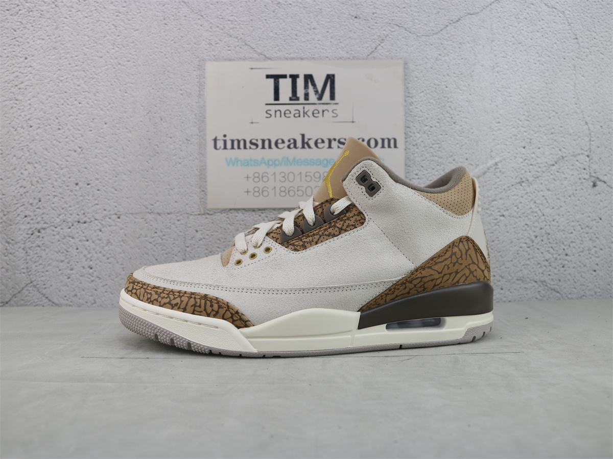 Air Jordan 3 Retro Palomino CT8532-102